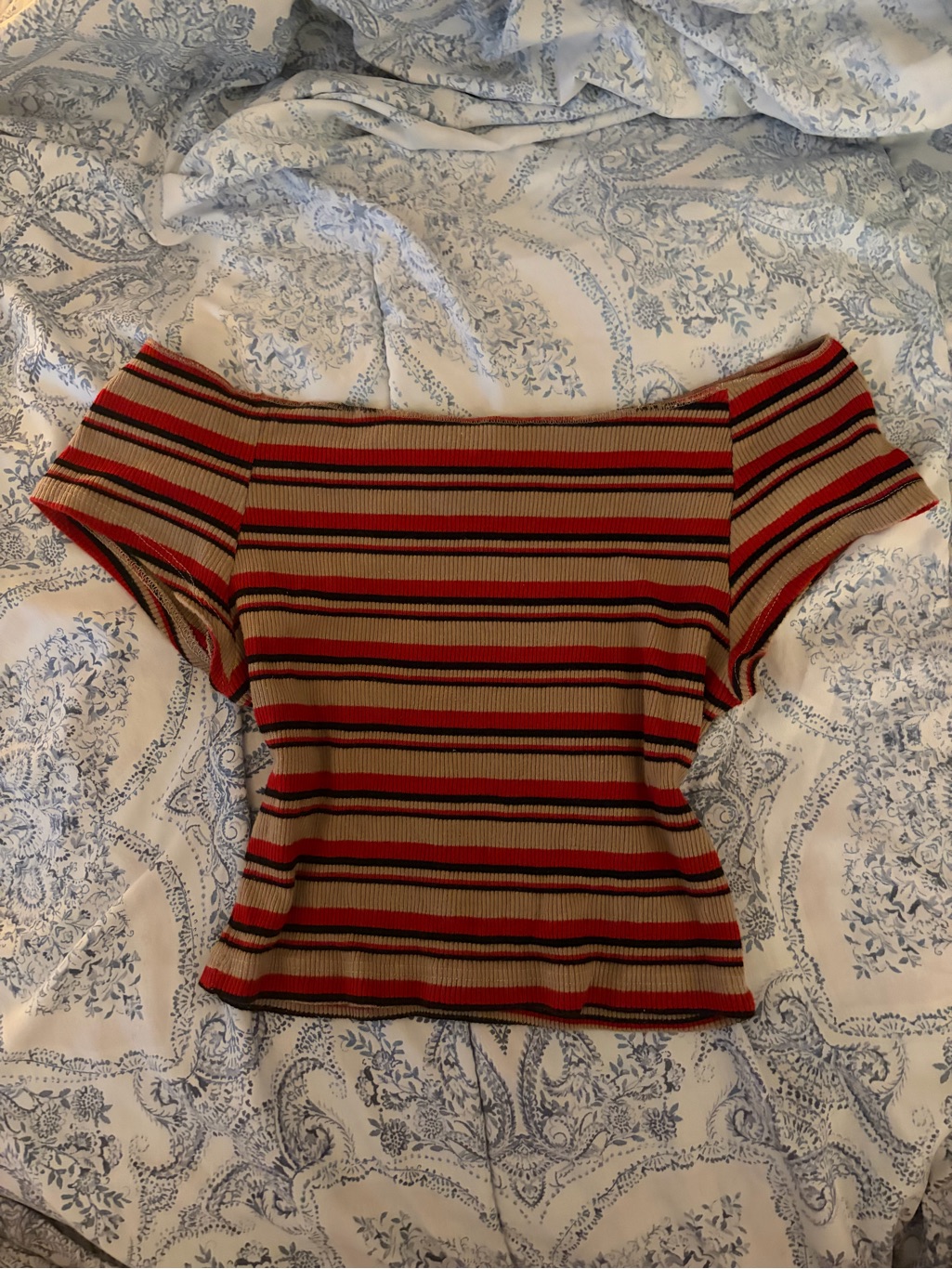 Brandy Melville Striped Off-Shoulder Ribbed Top In Tan And Red